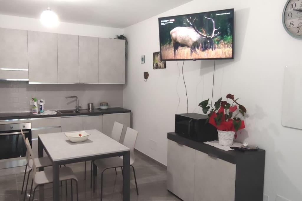 Bruno's House Apartment Pescara